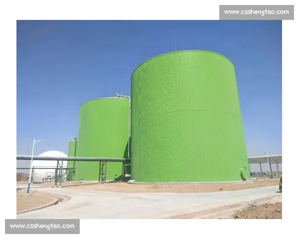 沼气VS传统能源的效率成本与绿色发展综合对比研究前景分析路径