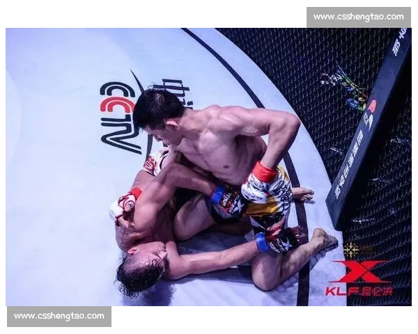 张开印对决播求巅峰一战胜负揭晓谁才是真正王者赛场全程回顾与技术解析