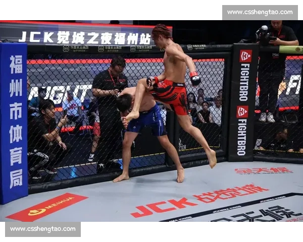 职业拳击与综合格斗的区别与融合探索：技术、规则与发展趋势对比分析